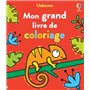 Mon grand livre de coloriage