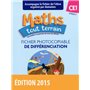 Maths tout terrain CE1 2015 Fichier de différenciation