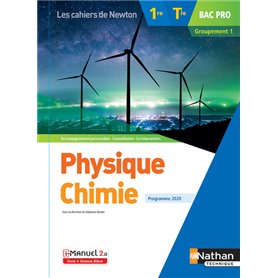 Physique-chimie 1re/Term Bac Pro - Groupement 1 - (Les cahiers de Newton) - Livre + licence élève