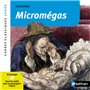 Micromégas - Voltaire - numéro 17