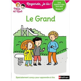 Le grand - Niveau 3