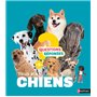 Tous les chiens