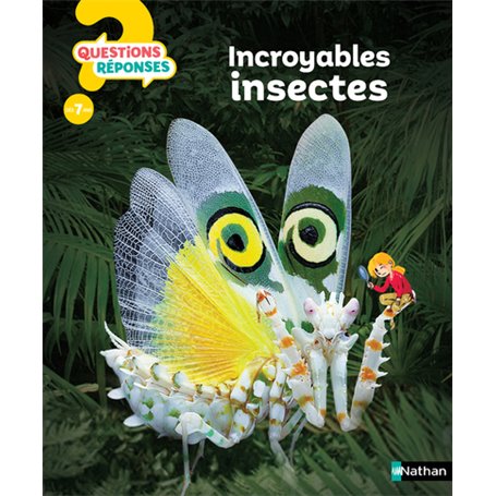 Incroyables insectes