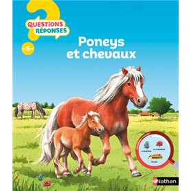 Poneys et chevaux