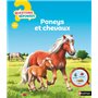 Poneys et chevaux