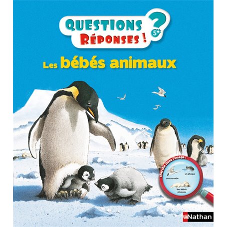 Les Bébés animaux