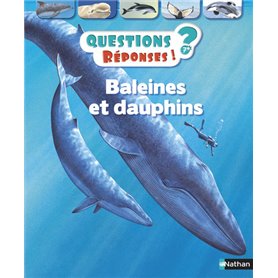 Baleines et dauphins