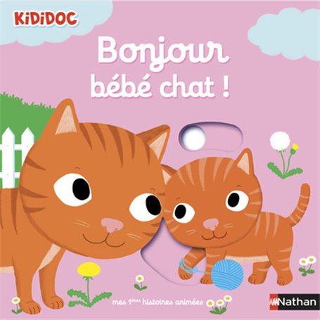 Bonjour Bébé chat !