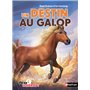 Dans la peau d'un mustang - Un destin au galop