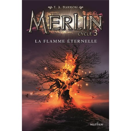 Merlin cycle 3 - tome 3 La flamme éternelle