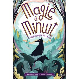 Magie à minuit - tome 2 Les passages du chaos