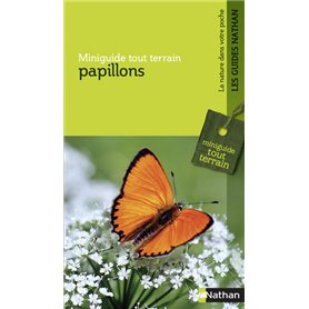 MGTT Papillons