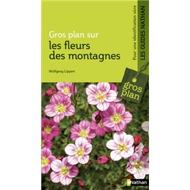 GP sur les fleurs de montagnes