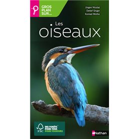 Les oiseaux