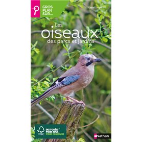 Gros plan sur les oiseaux des parcs et jardins