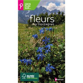 Gros plan sur les fleurs des montagnes