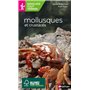 Miniguides tout-terrain : Mollusques et crustacés