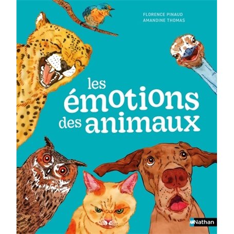 Les émotions des animaux