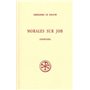 Morales sur Job (Livres 28-29)