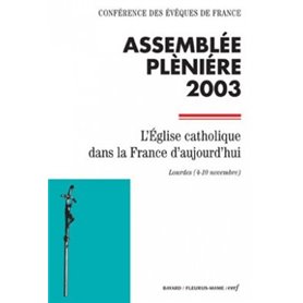 Assemblée plénière 2003