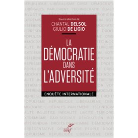 La démocratie dans l'adversité