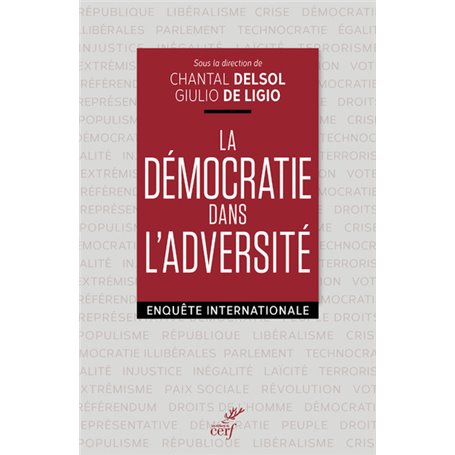 La démocratie dans l'adversité