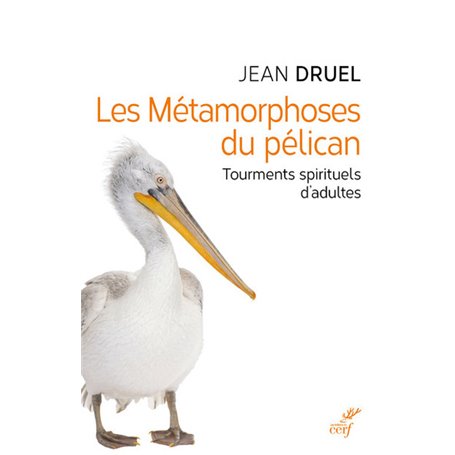 Les Métamorphoses du pélican - Tourments spirituels d'adultes