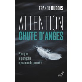 Attention chute d'anges - Pourquoi le pangolin aussi monte au ciel ?