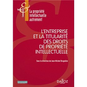 L'entreprise et la titularité des droits de propriété intellectuelle