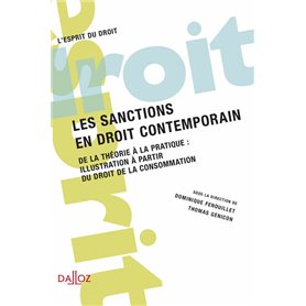 Les sanctions en droit contemporain - De la théorie à la pratique : illustration à partir du droit d