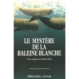 Le mystère de la baleine blanche