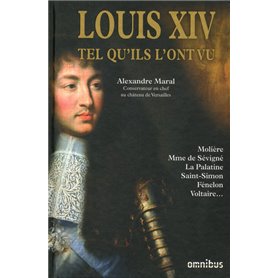 Louis XIV tel qu'ils l'ont vu