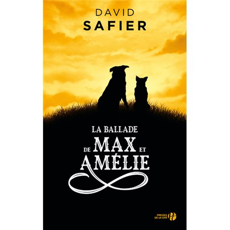 La Ballade de Max et Amélie