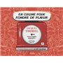 En cuisine pour fondre de plaisir - Histoire d une amitié en 80 recettes