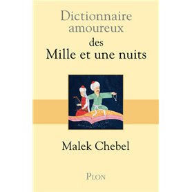 Dictionnaire amoureux des mille et une nuits