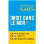 Droit dans le mur ! - De nos erreurs et du refus de les reconnaître