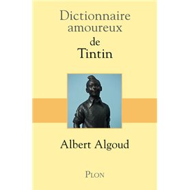 Dictionnaire amoureux de Tintin