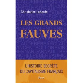 Les grands Fauves