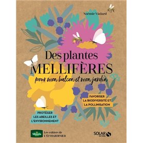 Des plantes mellifères pour mon balcon et mon jardin