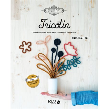 Tricotin - 20 réalisations pour déco & cadeaux tendance