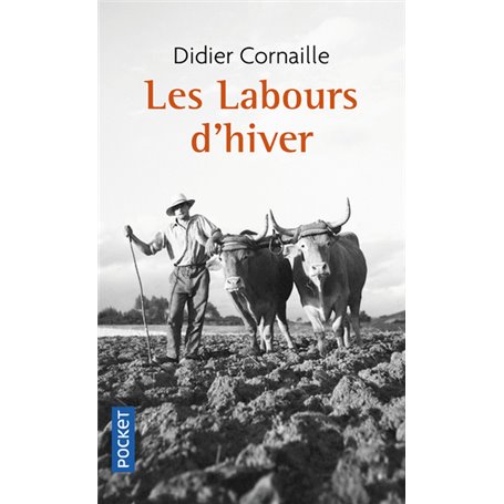 Les labours d'hiver