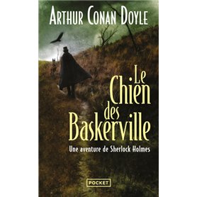 Le chien des Baskerville