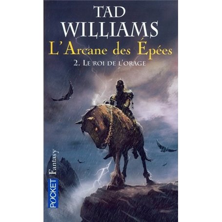 L'Arcane des Epées - tome 2 Le Roi de l'orage