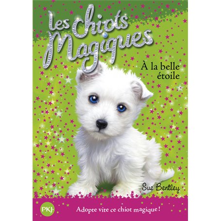 Les chiots magiques - numéro 06 À la belle étoile