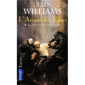 L'Arcane des Epées - tome 8 La tour de l'ange vert