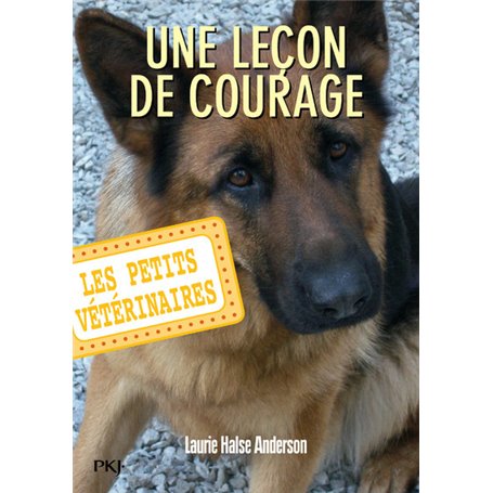 Les petits vétérinaires - numéro 7 Une leçon de courage