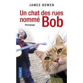 Un chat des rues nommé Bob