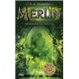 Merlin - tome 4 Le miroir du destin