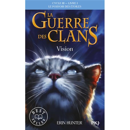 La guerre des Clans cycle III Le pouvoir des étoiles - tome 1 vision