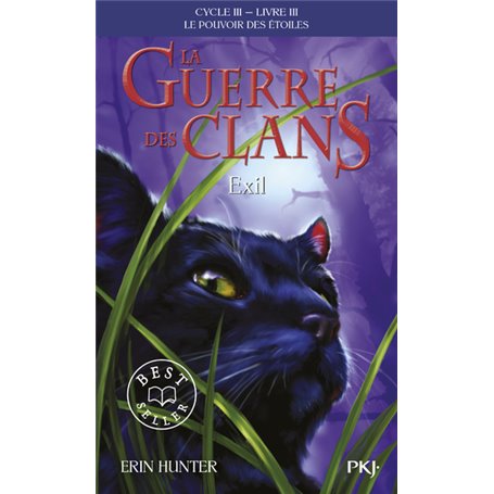 La guerre des Clans Cycle III - tome 3 Exil